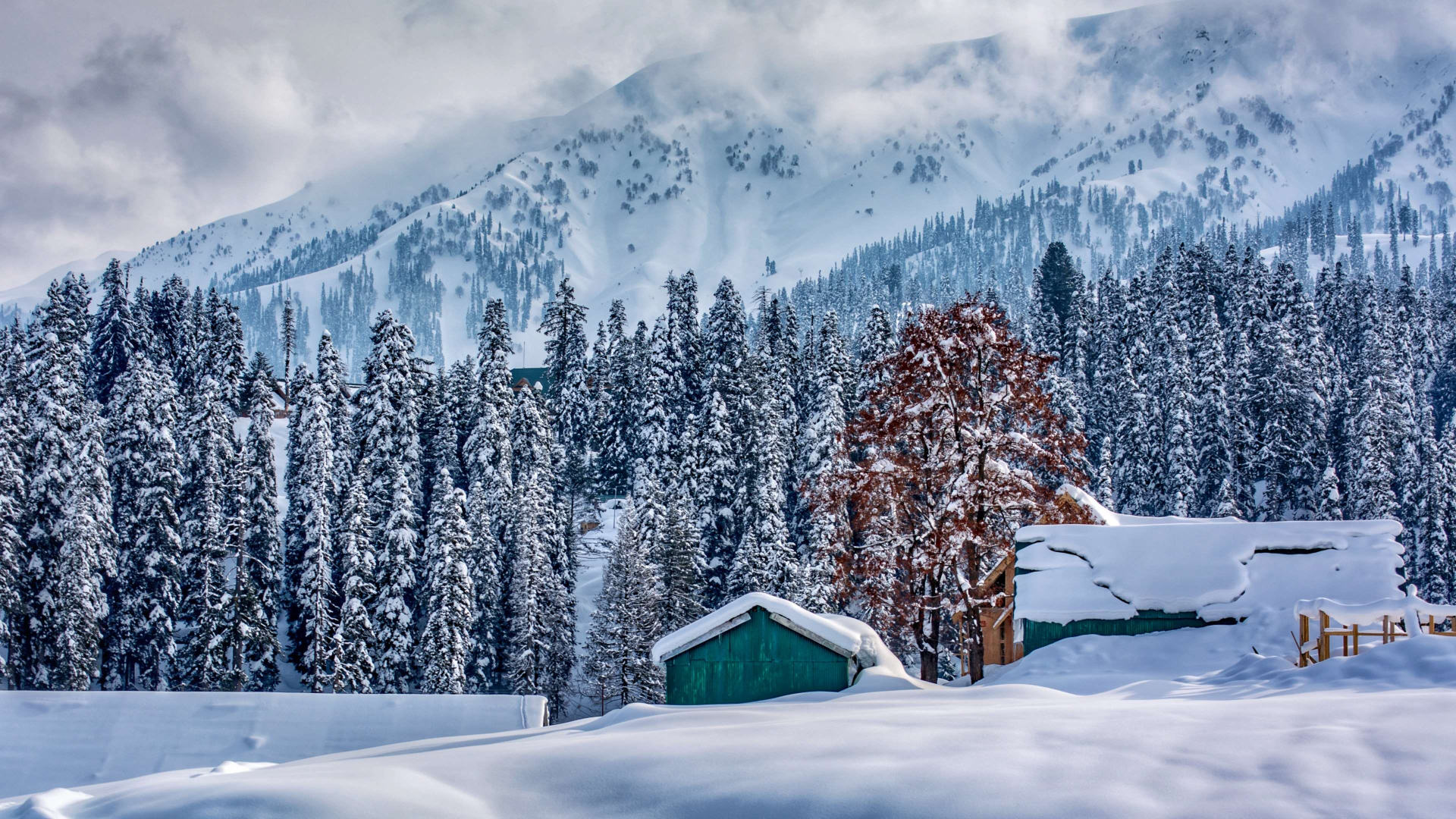 Serenade of Patnitop